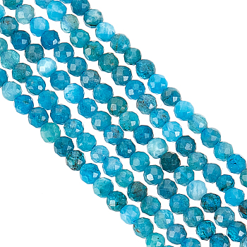 3 Strands Natural Apatite Beads Strands, Grade AA, Faceted, Round, 3mm, Hole: 0.5mm, about 132pcs/strand, 15.7 inch(40cm)