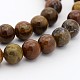 Bois pétrifié naturel brins de perles rondes(G-P070-64-4mm)-1