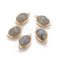 Natural Labradorite Links connectors, with Golden Tone Brass Findings, Faceted, Bean Shape, 21x12x5.5~6mm, Hole: 1.2mm(G-L513-02G)
