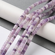 Natural Lepidolite/Purple Mica Stone Beads Strands, Disc, Heishi Beads, 4x2mm, Hole: 1mm, about 173pcs/strand, 15.39~15.43''(39.1~39.2cm)(G-E612-A03-B)
