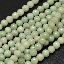 Round Natural Myanmar Jade/Burmese Jade Beads Strands, 6mm, Hole: 1mm, about 64pcs/strand, 15.7 inch(G-K068-11-6mm)