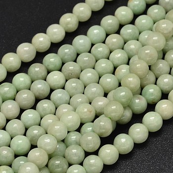 Round Natural Myanmar Jade/Burmese Jade Beads Strands, 6mm, Hole: 1mm, about 64pcs/strand, 15.7 inch