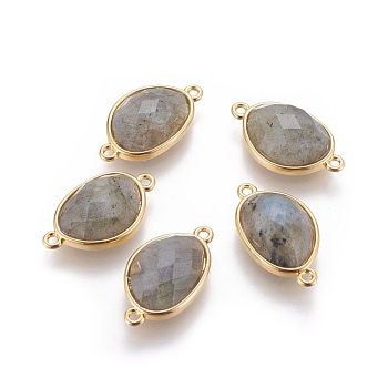 Natural Labradorite Links connectors, with Golden Tone Brass Findings, Faceted, Bean Shape, 21x12x5.5~6mm, Hole: 1.2mm