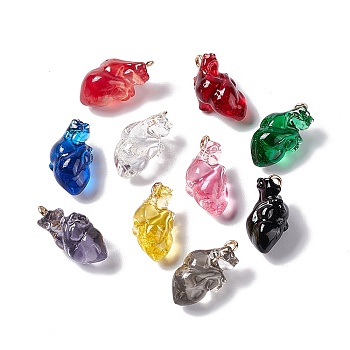 Transparent Resin Pendants, Anatomical Heart Charms, with Golden Plated Iron Loops, Mixed Color, 20.5~21.5x11.5x11mm, Hole: 2mm