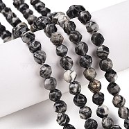 Natural Map Stone/Picasso Stone Beads Strands, Round, Faceted, 5.5~6x5.5~6.5mm, Hole: 1mm, about 60~62pcs/strand, 14.17~14.88''(36~37.2cm)(G-T138-214)