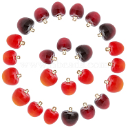 36Pcs Plastic Pendants, with Golden Tone CCB Plastic Loops, Cherry Charms, Mixed Color, 20~23.5x15~20mm, Hole: 1.2mm(KY-CA0001-42)