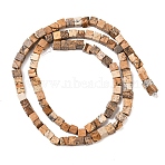 1 Strand Natural Picture Jasper Beads Strands, Cube, 4x4x4mm, Hole: 0.7mm, about 93pcs/Strand, 15.75 inch(40cm)(G-YW0002-53)