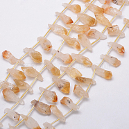 Natural Citrine Beads Strands, Nuggets, 25~30x15~20mm, Hole: 1mm, about 18pcs/strand, 15.75 inch(G-K109-06-C)