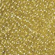 Glass Seed Beads(X1-SEED-A006-3mm-110)-2