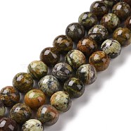 Natural Gemstone Beads Strands, Round, 10~10.5mm, Hole: 1mm, about 40pcs/strand, 15.75 inch(40cm)(G-C238-02B)