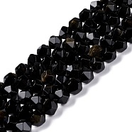 Natural Golden Sheen Obsidian Beads Strands, Polygon, Faceted, 9x10mm, Hole: 1mm, about 37pcs/strand, 15.16''(38.5cm)(G-C229-01C)