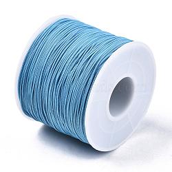 Polyester Cords, Light Sky Blue, 0.5~0.6mm, about 131.23~142.16 yards(120~130m)/roll(OCOR-Q038-071)