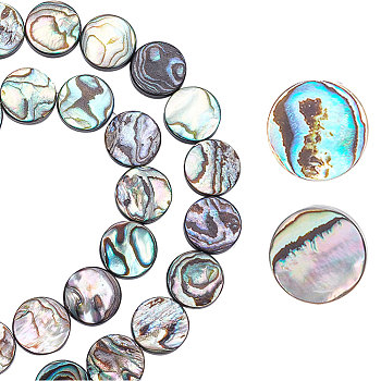 Elite 1 Strand Natural Abalone Shell/Paua Shell Beads Strands, Flat Round, 12x3.5mm, Hole: 0.6mm, about 31~35pcs/strand, 15.94''(40.5cm)