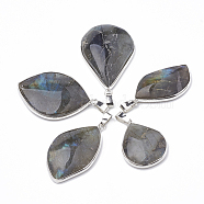 Natural Labradorite Pendants, with Platinum Tone Iron Clasps, Mixed Shapes, 31~53x19~28x6~9mm, Hole: 7x3mm(G-T099-02)