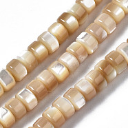 Natural Trochid Shell/Trochus Shell Beads Strands, Column, BurlyWood, 6x4mm, Hole: 0.8mm, about 102~103pcs/strand, 15.94 inch(40.5cm)(SSHEL-S266-016B-02)