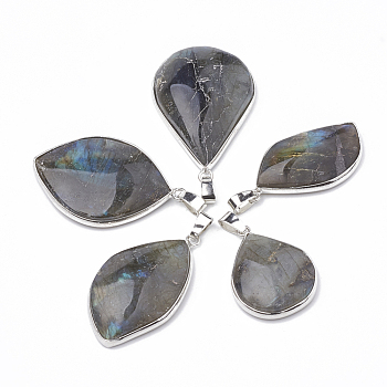 Natural Labradorite Pendants, with Platinum Tone Iron Clasps, Mixed Shapes, 31~53x19~28x6~9mm, Hole: 7x3mm