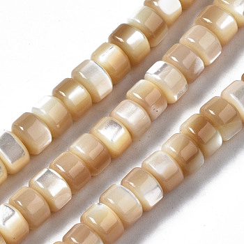 Natural Trochid Shell/Trochus Shell Beads Strands, Column, BurlyWood, 6x4mm, Hole: 0.8mm, about 102~103pcs/strand, 15.94 inch(40.5cm)