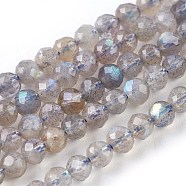 Natural Labradorite Beads Strands, Faceted, Round, 4mm, Hole: 0.8mm, about 96~100pcs/strand, 15.5 inch(39.5cm)(G-O176-04A)