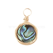 Natural Abalone Shell/Paua Shell Pendants, with Copper Wire, Flat Round, 17x10.5x2.5mm, Hole: 3mm(X-PALLOY-JF00457-01)