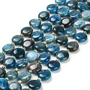 Natural Apatite Beads Strands, with Seed Beads, Flat Round, 10~10.5x4~5mm, Hole: 0.8mm, about 32pcs/strand, 15.47''(39.3cm)(G-H005-B03-01)