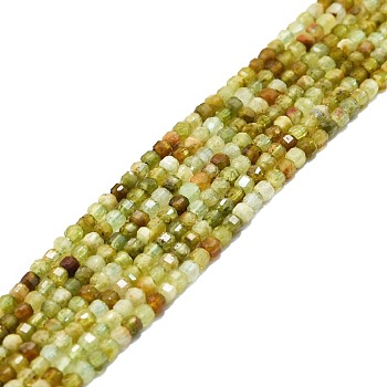 Natural Green Garnet Beads Strands, Faceted, Cube, 2x2x2mm, Hole: 0.6mm, about 182pcs/strand, 15.16''~15.55''(38.5~39.5cm)