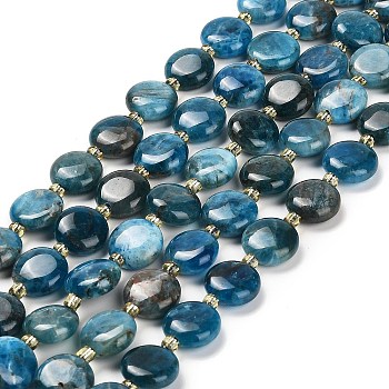 Natural Apatite Beads Strands, with Seed Beads, Flat Round, 10~10.5x4~5mm, Hole: 0.8mm, about 32pcs/strand, 15.47''(39.3cm)