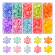 200Pcs 10 Colors Imitation Jelly Acrylic Beads, Faceted, Snowflake, Mixed Color, 15x14x6mm, Hole: 1.6mm, 20pcs/color(MACR-YW0001-97)