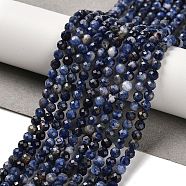 Natural Sodalite Beads Strands, Round, Faceted, 4mm, Hole: 1mm, about 99pcs/strand, 15.35''(39cm)(G-B107-A03-06)