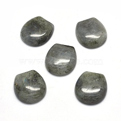 Natural Labradorite Cabochons, Oval, 22x20.5x6~7mm(G-O175-13I)