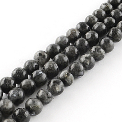 Natural Labradorite Round Bead Strands, 8mm, Hole: 1mm, about 48pcs/strand, 14.9 inch(X-G-R342-8mm-09)