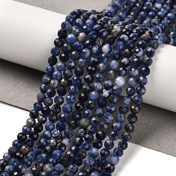 Natural Sodalite Beads Strands, Round, Faceted, 4mm, Hole: 1mm, about 99pcs/strand, 15.35''(39cm)