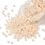 TOHO 6/0 Round Beads, Japanese Seed Beads, (123) Opaque Luster Light Beige, 4mm, Hole: 1.5mm, about 840pcs/50g(SEED-XTR06-0123)