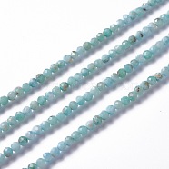 Natural Larimar Beads Strands, Round, Faceted, 3~3.5mm, Hole: 0.3mm, about 122~132pcs/strand, 15.83 inch (40.2cm)(G-A178-B01-3mm)