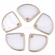Natural Freshwater Shell Pendants, Brass Edge Golden Plated, Fan, Seashell Color, 19~20x23~24x2mm, Hole: 1.2mm(SHEL-S276-78)
