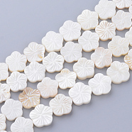 Natural Freshwater Shell Bead Strands, Flower, Creamy White, 12~13x12~13x2~3.5mm, Hole: 1mm, about 29~30pcs/strand, 14.37 inch(X-SHEL-T001-A01)