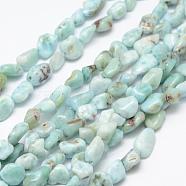 Natural Larimar Beads Strands, Nuggets, 6~8x4~6mm, Hole: 1mm, 15.3 inch(39cm)(G-F521-35)