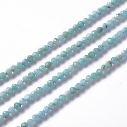 Natural Larimar Beads Strands, Round, Faceted, 3~3.5mm, Hole: 0.3mm, about 122~132pcs/strand, 15.83 inches (40.2cm)(G-A178-B01-3mm)
