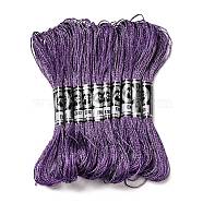 10 Skeins 12-Ply Metallic Polyester Embroidery Floss, Glitter Cross Stitch Threads for Craft Needlework Hand Embroidery, Friendship Bracelets Braided String, Blue Violet, 0.8mm, about 8.75 Yards(8m)/skein(OCOR-Q057-A11)