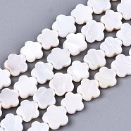 Natural Freshwater Shell Beads Strands, Flower, Seashell Color, 8x8x2.5mm, Hole: 0.6mm, about 46~48pcs/strand, 14.96 inch (38cm)(X-SHEL-S276-111)