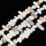 Natural Trochid Shell/Trochus Shell Beads Strands, Undyed, Rectangle, 6~11x6~36x1~7mm, Hole: 1mm, about 45~55pcs/strand, 14.96 inch~15.35 inch(38cm~39cm)(SHEL-S258-082-A01)