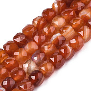 Natural Banded Agate/Striped Agate Beads Strands, Faceted, Dyed, Cube, Saddle Brown, 5~6x5~6x5~6mm, Hole: 1mm, about 61pcs/strand, 12.60 inch~12.80 inch(32~32.5cm)(G-S359-374A)