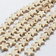 Synthetic Magnesite Bead Strands, Star, 15.5x15.5x5.5mm, Hole: 1mm, about 31pcs/strand, 14.9 inch(G-P228-57)