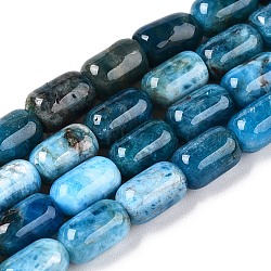 Natural Apatite Beads Strands, Faceted, Column, 9~9.5x6~6.5mm, Hole: 0.9~1mm, about 20~21pcs/strand, 7.28~7.6''(18.5~19cm)(G-G980-51B)