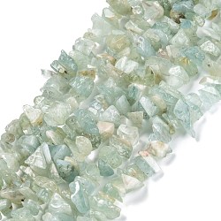 Natural Aquamarine Beads Strands, Grade A, Chip, 3~16x3~8mm, Hole: 0.7mm, 32.28''(82cm)(G-G011-11)