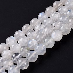 Natural Moonstone Beads Strands, Round, 8mm, Hole: 1mm, about 48pcs/strand, 15.55''(39.5cm)(G-I249-B04-05)