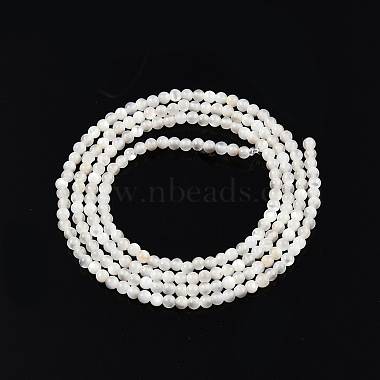 Brins de perles de coquillage blanc naturel(X-SSHEL-N003-144A-01)-2