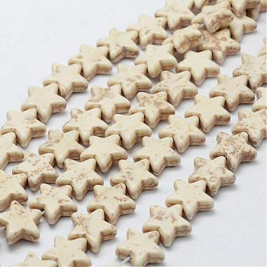 16mm Star Howlite Beads