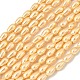 hebras de perlas de concha electrochapadas(BSHE-C010-01A)-1