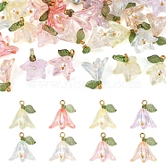 32PCS 8 Colors Transparent Acrylic Pendants, with Shell Pearl Beads and Brass Findings, Lily Flower Charms, Mixed Color, 20x16x12mm, Hole: 3mm(PALLOY-TA0002-44)
