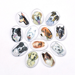 Puppy Photo Flatback Glass Cabochons, for DIY Projects, Dog Pattern, Oval, Mixed Color, 25x18x5.5mm(X-GGLA-S034-25x18-034)